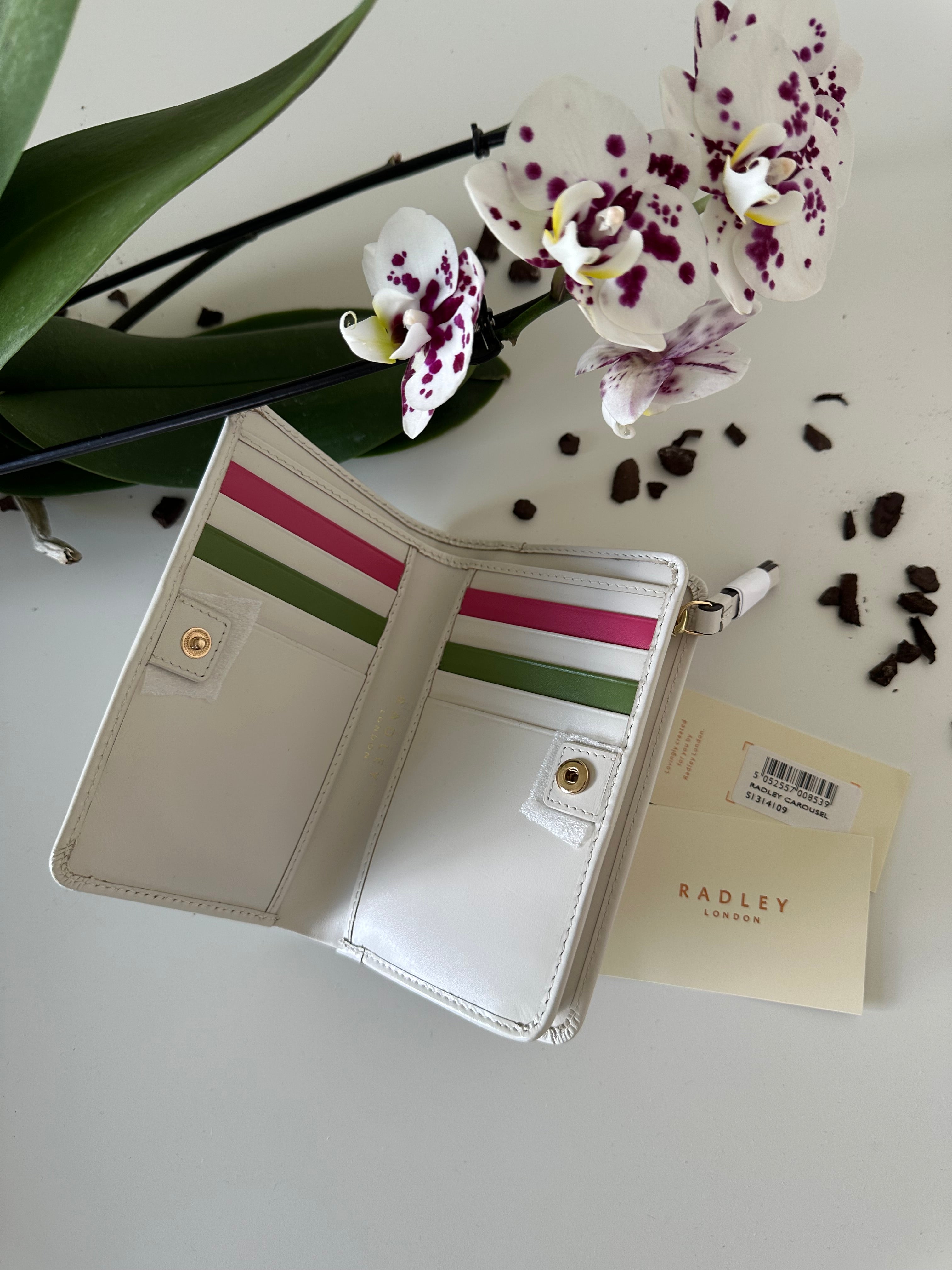 Radley Carousel Medium colourful Leather