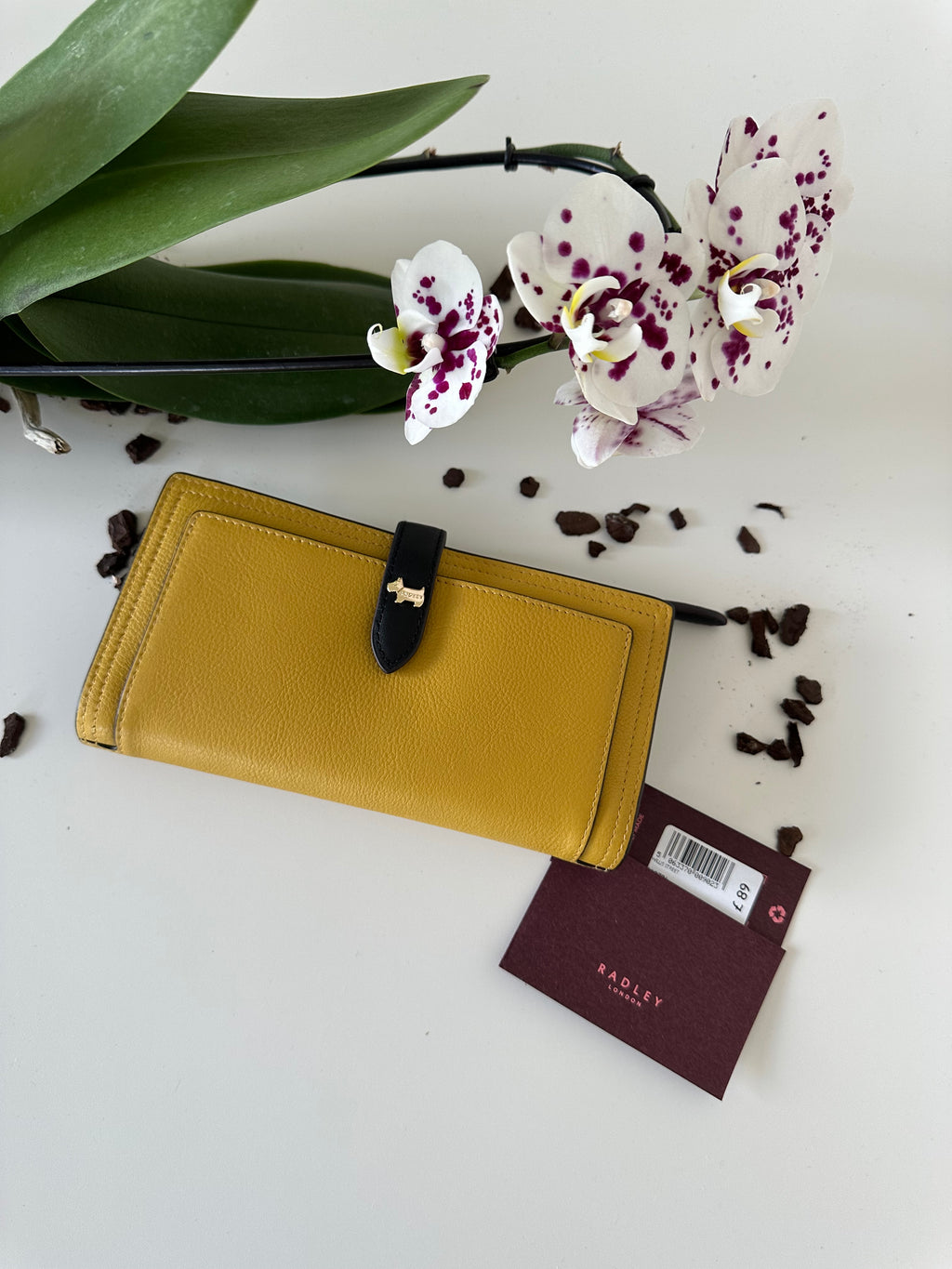 Radley Willis Street Large Leather Black&Mustard